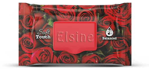 Elsine 120 li Islak Mendil